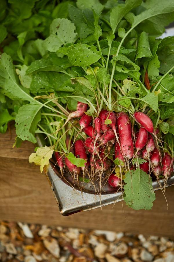 The Methuen Arms Hotel Corsham Exterior photo Radishes