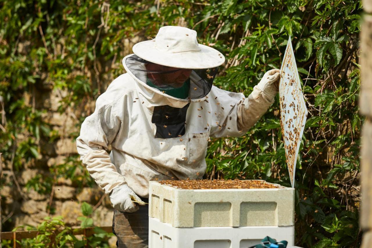 The Methuen Arms Hotel Corsham Exterior photo Beekeeper with a bee smoker